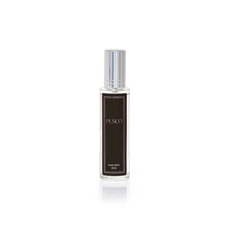 00003419-mini-home-spray1